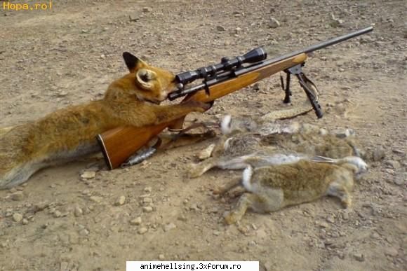 Ce animal se potriveste cu personalitatea ta? - Ce animal se potriveste cu personalitatea ta? - Quizuri